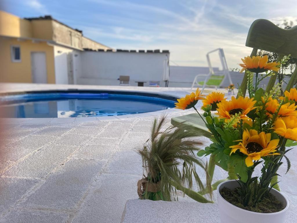 Casa Loredana Putignano Bagian luar foto