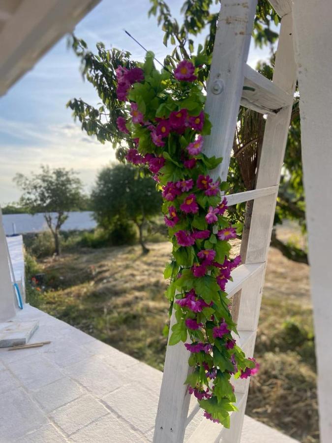 Casa Loredana Putignano Bagian luar foto