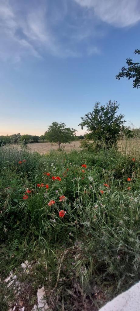 Casa Loredana Putignano Bagian luar foto